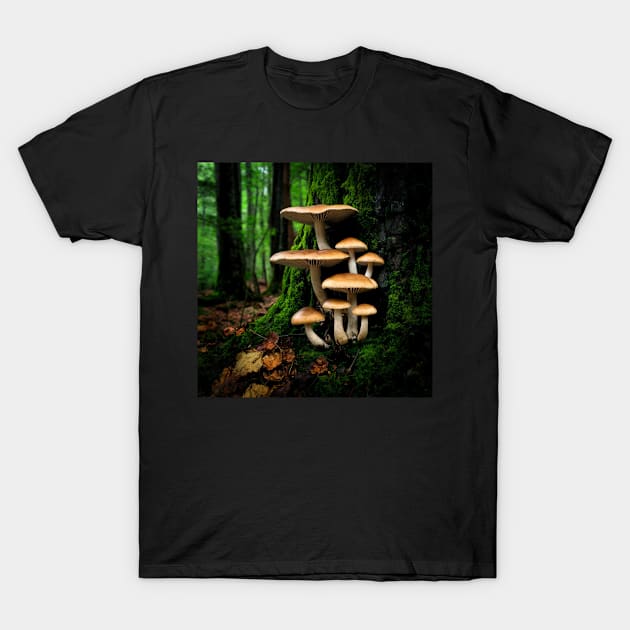 Mushrooms In Nature T-Shirt by JimDeFazioPhotography